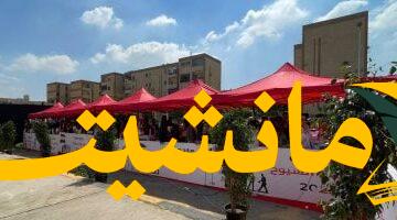 عاجل.. رؤساء اللجان: انتخابات الشيوخ تسير بانضباط