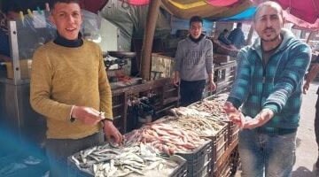انخفاض مفاجئ.. البلطي بـ80 جنيهًا في أسواق دمياط