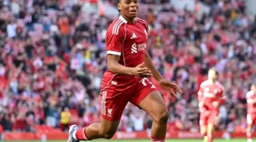 202584gdt2025 8 4 19 17.webp