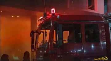 2025 8 11 10 45 41 563.webp