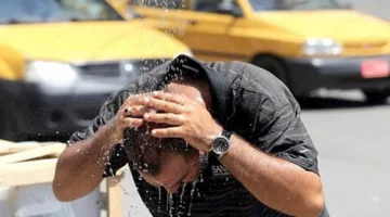 صحتك في الشتاء والصيف.. كيف تتكيف أوعيتك الدموية مع تغير درجات الحرارة؟