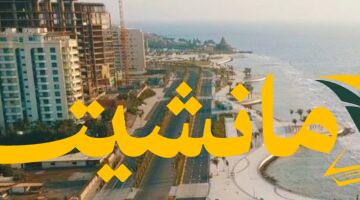 صحة جدة في يوليو.. 8000 شهادة صحية وفحص 6000 عينة غذائية