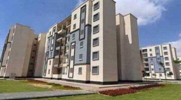 2651547 0 1 1 800x600 1