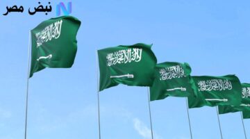 2828244686589202508040440504050