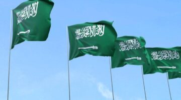 2828244686589202508040440504050 e1755004514228