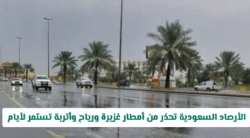 أمطار غزيرة ورياح مُحملة بالغبار.. الأرصاد السعودية تُحذر: عاصفة رعدية تستمر لأيام على هذه المناطق
