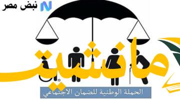 رسميًا.. دعم غير مسبوق للتعليم في قانون الضمان الاجتماعي الجديد | تعرف على التفاصيل