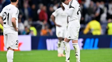 37654759 1744900274.webp