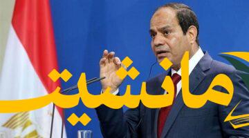 نداء عاجل.. السيسي وترامب يطالبان بتحرك فوري لوقف حرب غزة