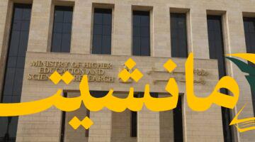 صحة وسياحة.. وزارة الشباب تطلق مبادرة علاجية ورياضية لأبناء الجاليات المصرية بسيوة