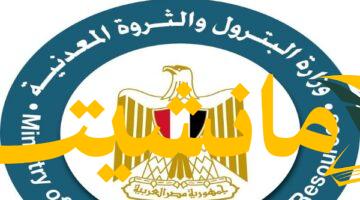 تعيين جديد.. محمد سليمان مديرًا عامًا للإعلام بوزارة البترول