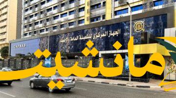 هام.. التعبئة والإحصاء: بحث الدخل والإنفاق 2021/2022 صدر رسميًا