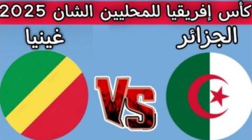 مواجهة نارية.. الجزائر وغينيا.. من يتأهل لنهائيات كأس الأمم الأفريقية للمحليين؟