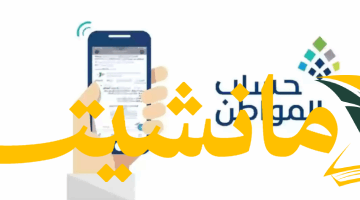 62 130350 citizen account payment 92 date july 2025 2