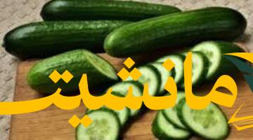 عاجل.. أرملة إبراهيم شيكا تكشف سبب وفاته وتحذر: متى يصبح البيض خطرًا؟