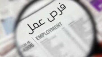 بشرى للشباب.. بنك القاهرة يعلن عن وظائف شاغرة لحديثي التخرج