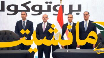 تحالف جديد.. الخارجية والرقابة المالية توقعان برتوكولاً بشأن المصريين بالخارج