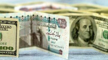 تحديث مساءً.. سعر الدولار في البنوك المصرية اليوم 14-8-2025