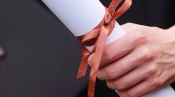 689e13a9d8eaa1755190185