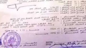 رسميًا.. استخراج برنت التأمينات بكل سهولة: الأماكن والأوراق المطلوبة