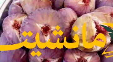 تحذير طبي: فئات محددة يجب عليها الحد من تناول التين البرشومي