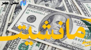 عاجل.. الدولار ثابت في مصر اليوم الأحد 3 أغسطس 2025 رغم التراجع العالمي