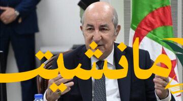 دبلوماسية جزائرية مصرية.. تبون يشيد بدور السيسي وجهوده الإقليمية