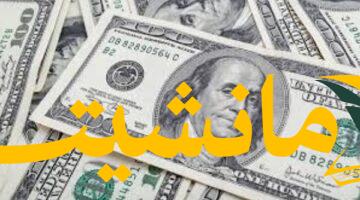 8686492210120250417110017017