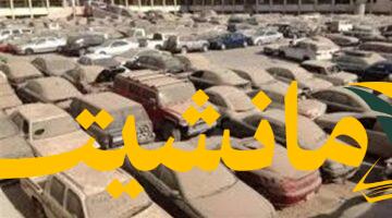 فرصة ذهبية.. مزاد على سيارات مصادرات جمركية بالإسكندرية والسلوم والقاهرة