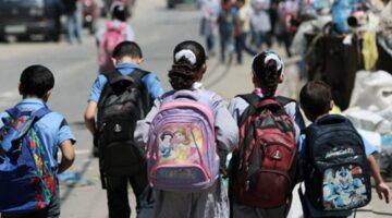 Ecoliers Primaire 913654643