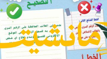 هام.. دليل التعليم العالي لتجنب أخطاء التنسيق الإلكتروني للمرحلة الثانية 2025