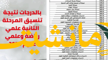 فرصة ذهبية.. نتيجة تنسيق المرحلة الثانية علمي علوم تعرف على الكليات المتاحة والحد الأدنى للقبول