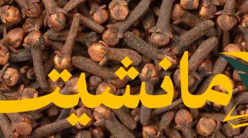 راحة طبيعية.. القرنفل يُسكن ألم الأسنان واللثة: طرق الاستخدام الآمن