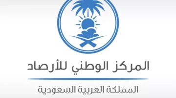 عاجل.. رياح نشطة وأمطار متوسطة تضرب العاصمة المقدسة