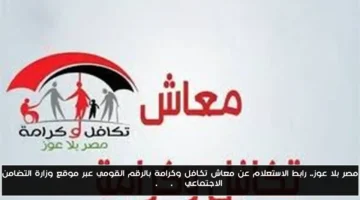 رسميًا.. رابط الاستعلام عن معاش “تكافل وكرامة” بالرقم القومي عبر موقع وزارة التضامن