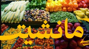 سوق الفاكهة اليوم.. أسعار الخضروات والفاكهة الأربعاء 6 أغسطس 2025