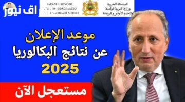 أخيرًا.. نتائج البكالوريا 2025 الجزائر متوفرة الآن عبر الديوان الوطني