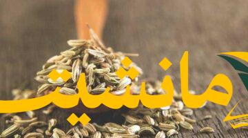 صحتك أولاً.. الكمون وفوائده الصحية المذهلة تتجاوز مجرد نكهة