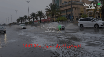 رسميًا.. تعويضات سيول مكة 1447: خطوات الحصول على التعويض عبر منصة أمانة العاصمة المقدسة