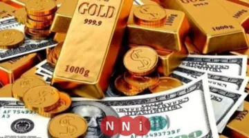 image 1200x675 689355c072f19.webp