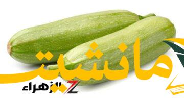 هام.. كوسا مسممة؟ احذر تناولها حتى عند الجوع الشديد