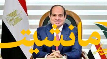 عاجل.. السيسي: حرب غزة إبادة جماعية وتصفية للقضية الفلسطينية