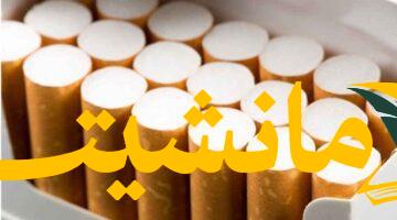 عاجل.. أسعار السجائر في مصر اليوم الأربعاء 6 أغسطس 2025