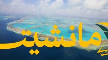 تحذير عاجل من العلماء.. الحاجز المرجاني العظيم يفقد ثلث غطائه خلال عام