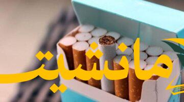 عاجل.. أسعار السجائر في مصر اليوم الاثنين 4 أغسطس 2025
