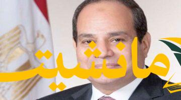 دور مصري حاسم.. السيسي: مصر تسعى لوقف إطلاق النار وإدخال مساعدات لغزة