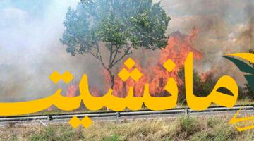 كارثة بيئية.. حريق هائل يلتهم آلاف الهكتارات جنوب فرنسا