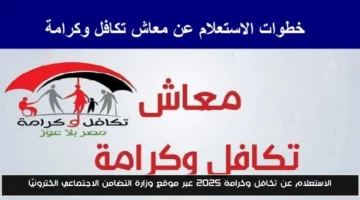 رسميًا.. رابط الاستعلام عن تكافل وكرامة 2025 عبر موقع وزارة التضامن