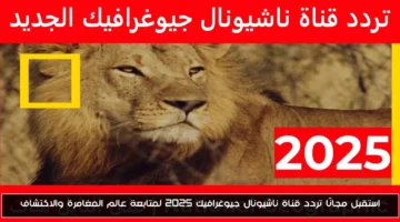 تردد قناة ناشيونال جيوغرافيك 2025 لمتابعة عالم المغامرة والاكتشاف مجانًا
