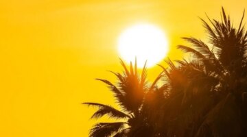 sabq2F2025 08 102F963soent2FD985D988D8ACD8A9 D8ADD8A7D8B1D8A9